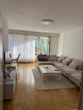 Eurovision Apartment Basel Zentral & Komfortabel